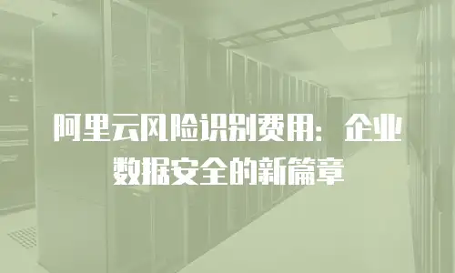 阿里云风险识别费用：企业数据安全的新篇章