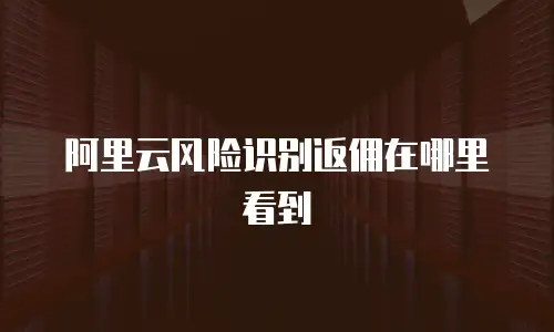 阿里云风险识别返佣在哪里看到