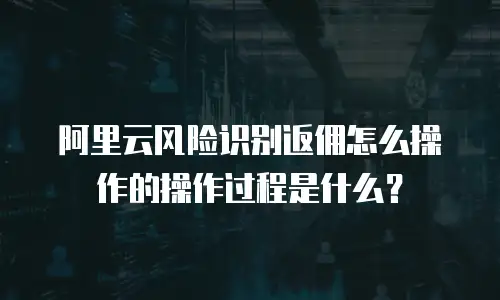 阿里云风险识别返佣怎么操作的操作过程是什么？