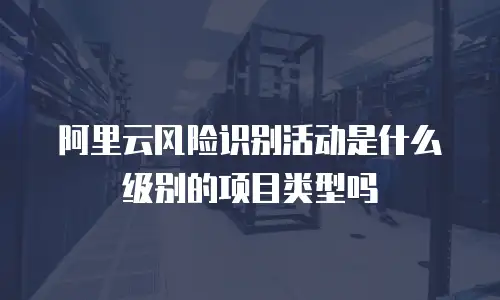 阿里云风险识别活动是什么级别的项目类型吗
