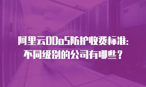 阿里云DDoS防护收费标准：不同级别的公司有哪些？
