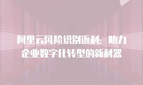 阿里云风险识别返利：助力企业数字化转型的新利器