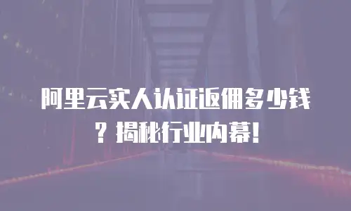 阿里云实人认证返佣多少钱？揭秘行业内幕！