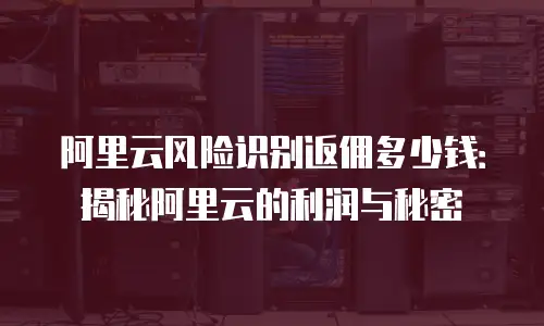 阿里云风险识别返佣多少钱：揭秘阿里云的利润与秘密