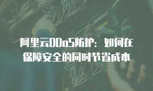 阿里云DDoS防护：如何在保障安全的同时节省成本