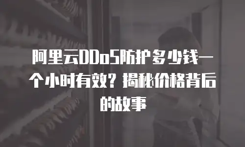 阿里云DDoS防护多少钱一个小时有效？揭秘价格背后的故事