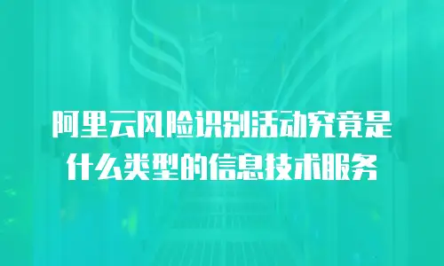 阿里云风险识别活动究竟是什么类型的信息技术服务