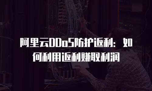 阿里云DDoS防护返利：如何利用返利赚取利润