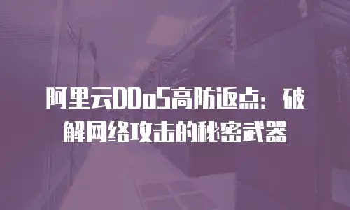 阿里云DDoS高防返点：破解网络攻击的秘密武器