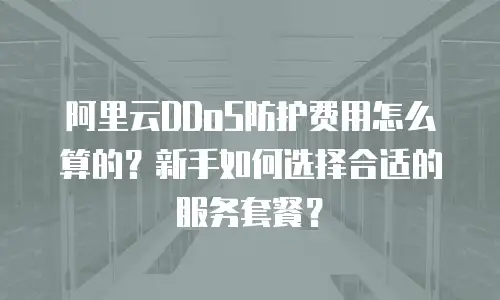 阿里云DDoS防护费用怎么算的？新手如何选择合适的服务套餐？