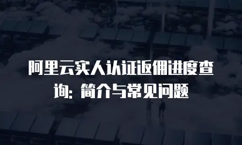 阿里云实人认证返佣进度查询: 简介与常见问题