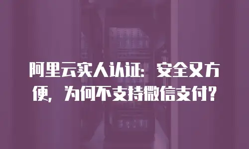 阿里云实人认证：安全又方便，为何不支持微信支付？