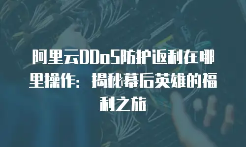 阿里云DDoS防护返利在哪里操作：揭秘幕后英雄的福利之旅