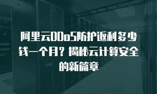 阿里云DDoS防护返利多少钱一个月？揭秘云计算安全的新篇章