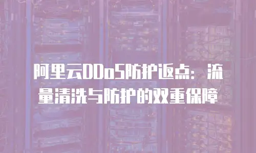 阿里云DDoS防护返点：流量清洗与防护的双重保障