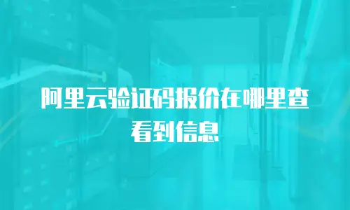 阿里云验证码报价在哪里查看到信息