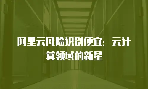 阿里云风险识别便宜：云计算领域的新星