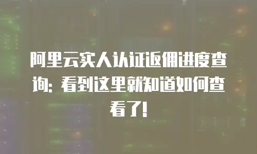 阿里云实人认证返佣进度查询: 看到这里就知道如何查看了!