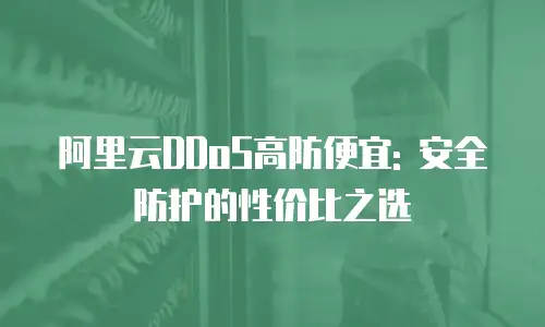 阿里云DDoS高防便宜: 安全防护的性价比之选