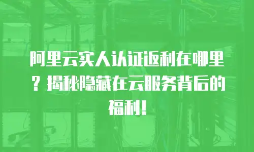 阿里云实人认证返利在哪里？揭秘隐藏在云服务背后的福利！
