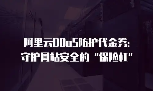 阿里云DDoS防护代金券：守护网站安全的“保险杠”