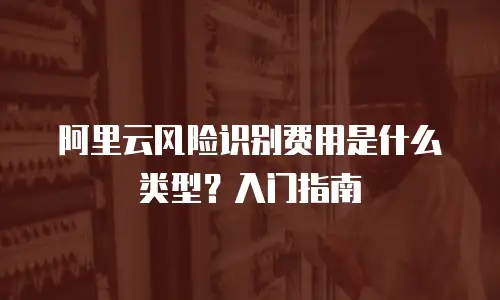 阿里云风险识别费用是什么类型？入门指南