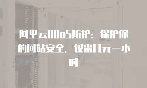 阿里云DDoS防护：保护你的网站安全，仅需几元一小时