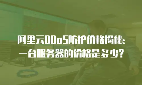 阿里云DDoS防护价格揭秘：一台服务器的价格是多少？