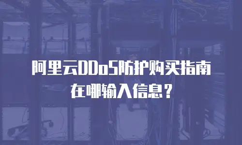 阿里云DDoS防护购买指南在哪输入信息？