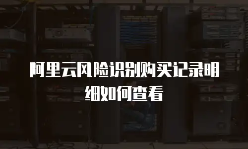 阿里云风险识别购买记录明细如何查看