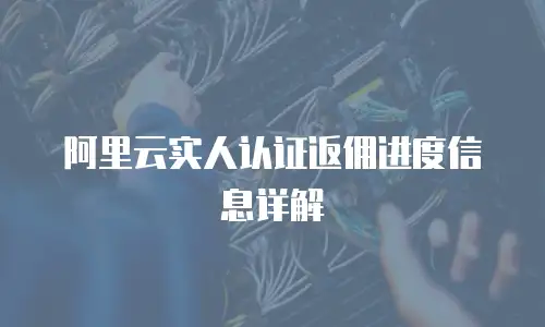 阿里云实人认证返佣进度信息详解
