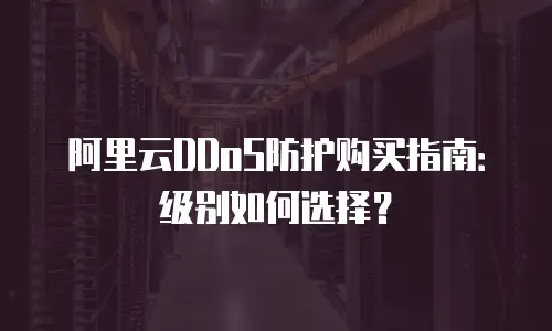 阿里云DDoS防护购买指南：级别如何选择？