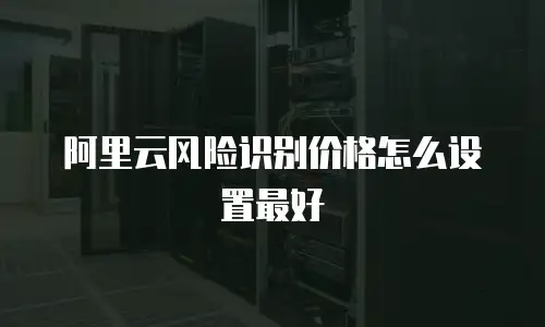阿里云风险识别价格怎么设置最好