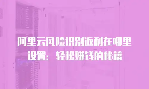 阿里云风险识别返利在哪里设置：轻松赚钱的秘籍