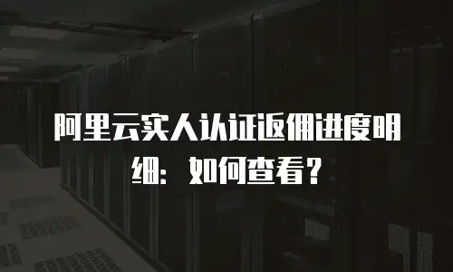 阿里云实人认证返佣进度明细：如何查看？