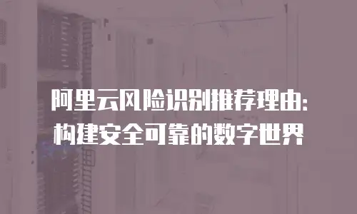 阿里云风险识别推荐理由：构建安全可靠的数字世界
