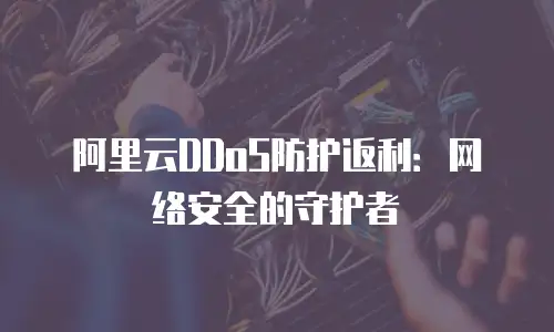 阿里云DDoS防护返利：网络安全的守护者