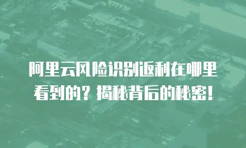 阿里云风险识别返利在哪里看到的？揭秘背后的秘密！