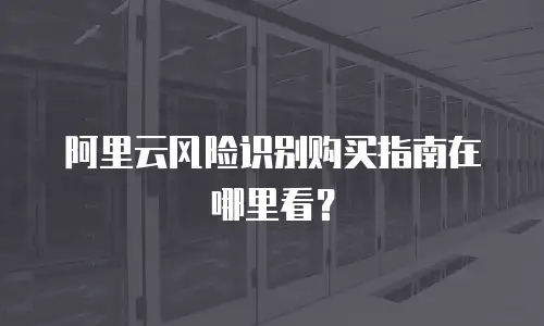 阿里云风险识别购买指南在哪里看？