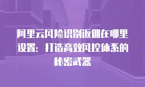 阿里云风险识别返佣在哪里设置：打造高效风控体系的秘密武器