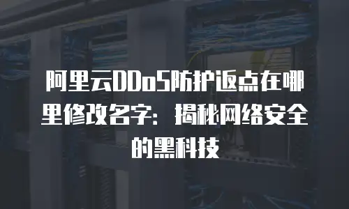 阿里云DDoS防护返点在哪里修改名字：揭秘网络安全的黑科技