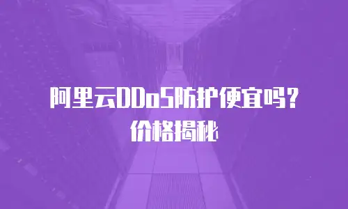 阿里云DDoS防护便宜吗？价格揭秘