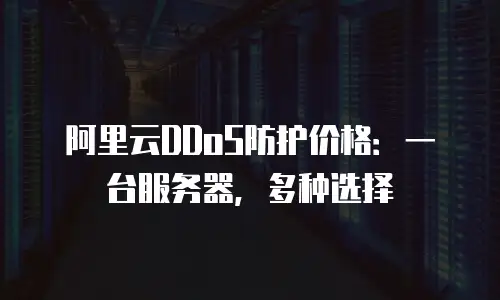 阿里云DDoS防护价格：一台服务器，多种选择