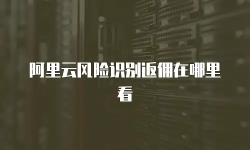 阿里云风险识别返佣在哪里看