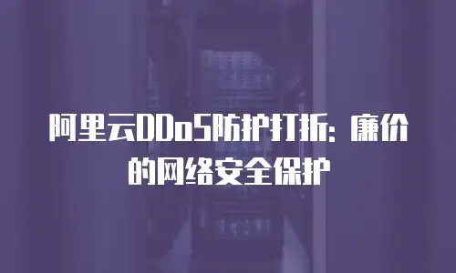 阿里云DDoS防护打折: 廉价的网络安全保护