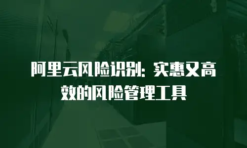 阿里云风险识别: 实惠又高效的风险管理工具