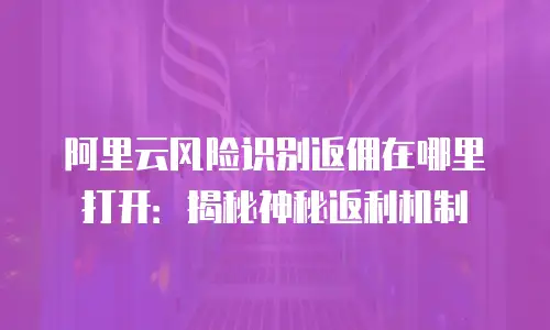 阿里云风险识别返佣在哪里打开：揭秘神秘返利机制