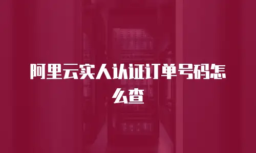 阿里云实人认证订单号码怎么查