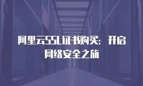 阿里云SSL证书购买：开启网络安全之旅