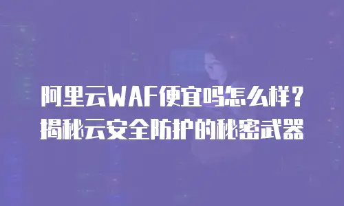 阿里云WAF便宜吗怎么样？揭秘云安全防护的秘密武器